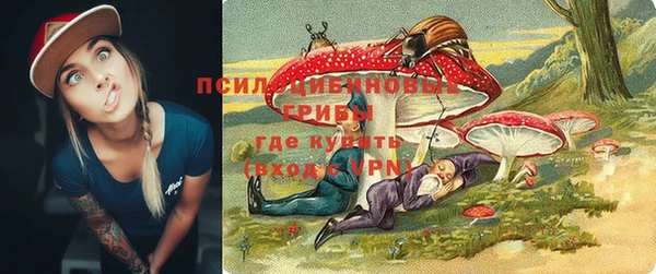 spice Аркадак