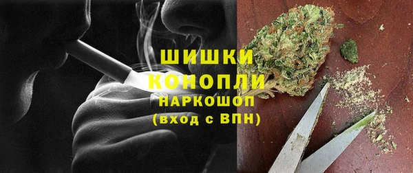 spice Аркадак