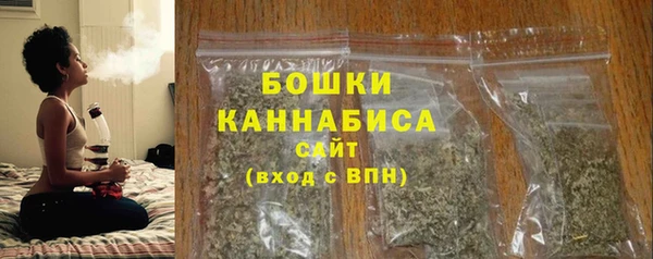 spice Аркадак