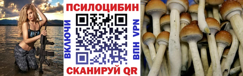 Псилоцибиновые грибы прущие грибы  Усть-Джегута 