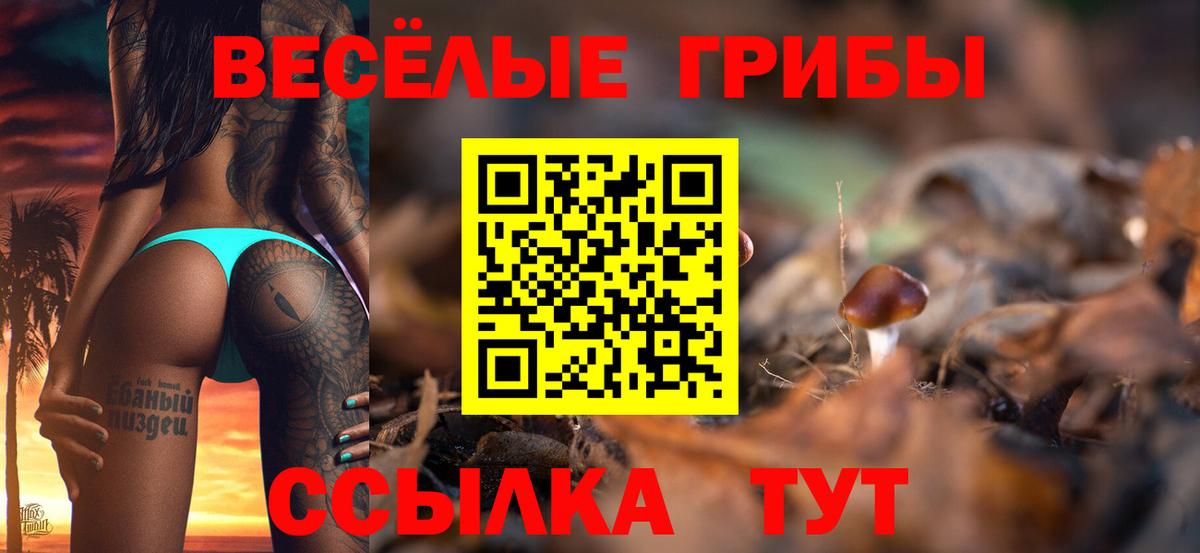 Псилоцибиновые грибы мицелий  Вход с VPN  Усть-Джегута 