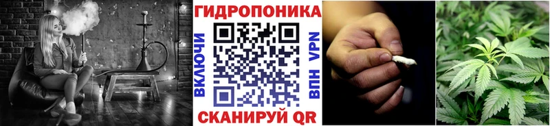 Каннабис ГИДРОПОН Усть-Джегута